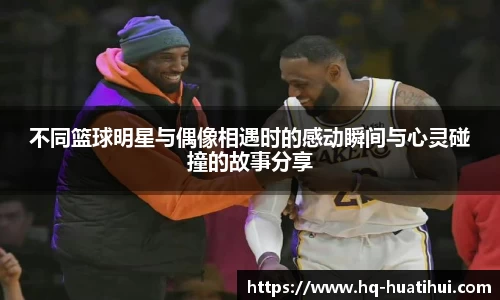 华体会体育